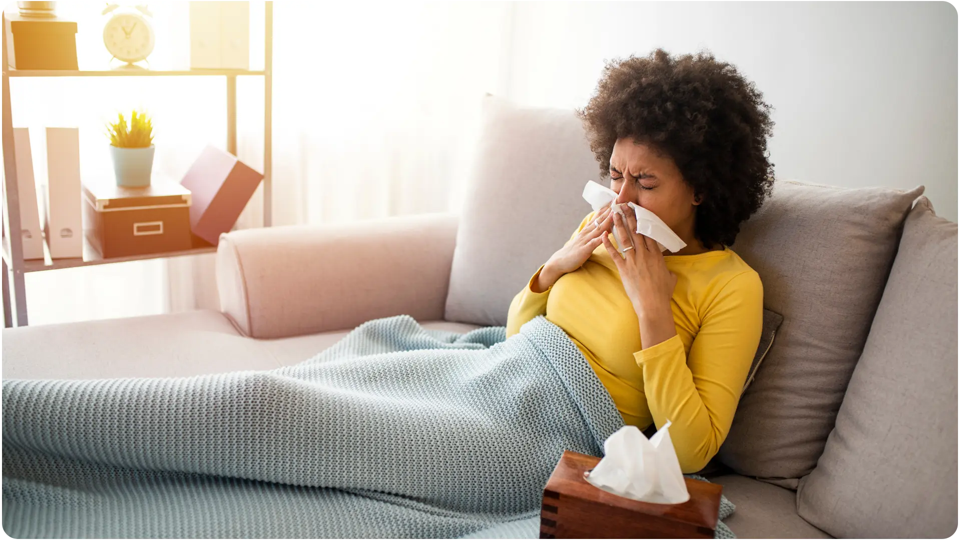 a sunny image of a tree, thriving in nature.